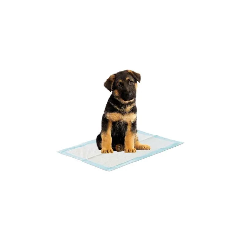 Savic Puppy Trainer Starter-sæt