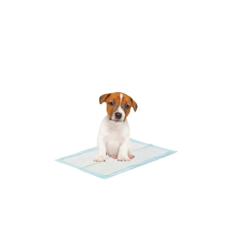 Savic Puppy Trainer Starter-sæt