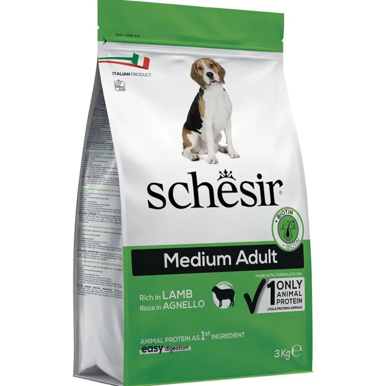 Schesir Hund Medium Voksen med lam