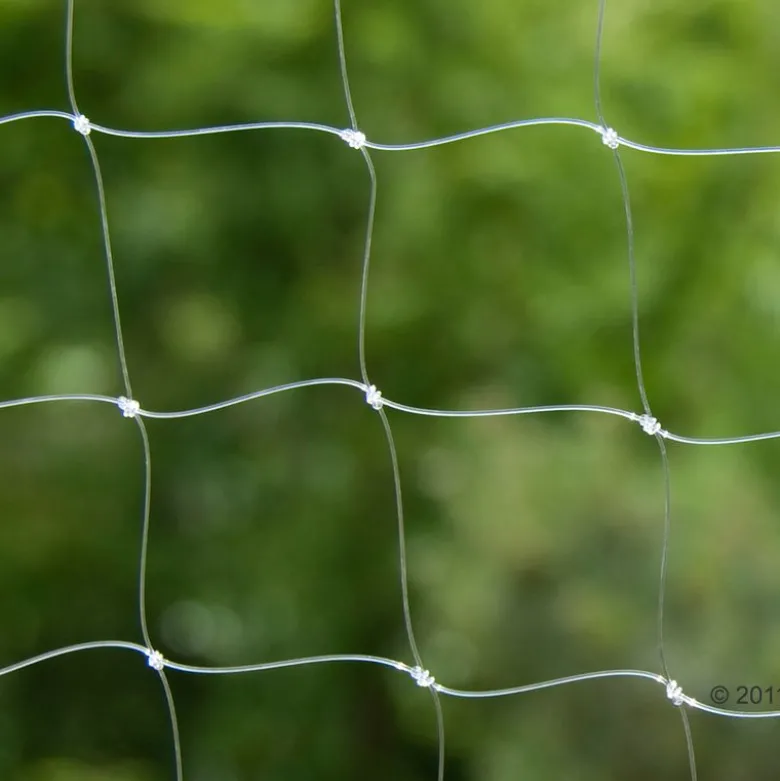 Sikkerhedsnet til katte - transparent