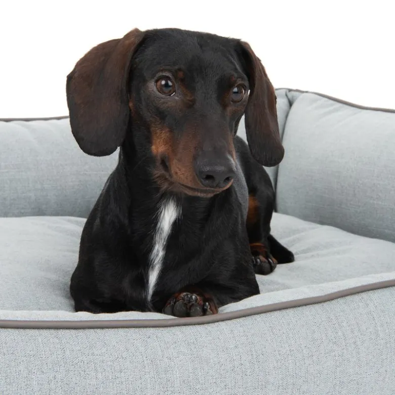 Skara Hundeseng