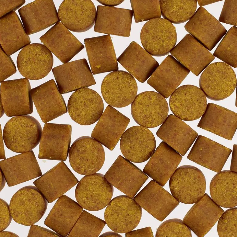 Skin & Coat Supplements Chews - Concept for Life