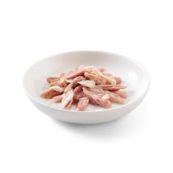 Sparpaket Schesir in Gelee 24 x 85 g