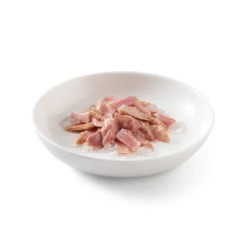 Sparpaket Schesir in Gelee 24 x 85 g