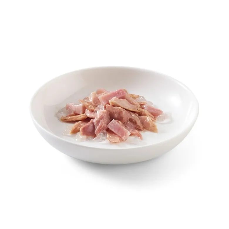 Sparpaket Schesir in Gelee 24 x 85 g