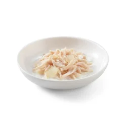 Sparpaket Schesir in Gelee 24 x 85 g