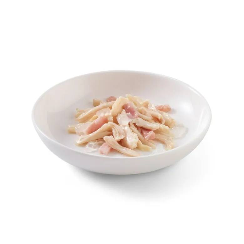 Sparpaket Schesir in Gelee 24 x 85 g