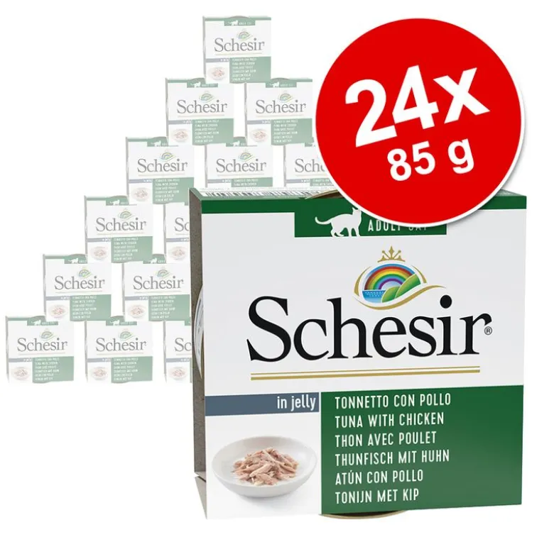 Sparpaket Schesir in Gelee 24 x 85 g