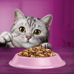 Sparpaket Whiskas