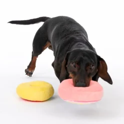 Squeaky Donuts Set Pivelegetøj