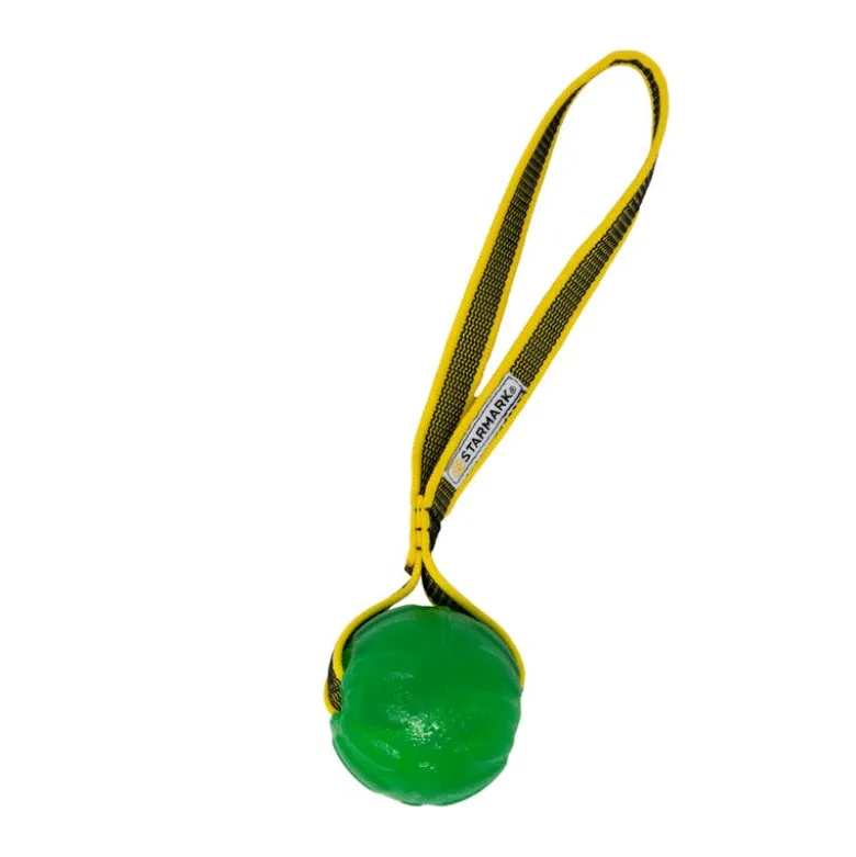 Starmark GripCord Chew Ball Loop