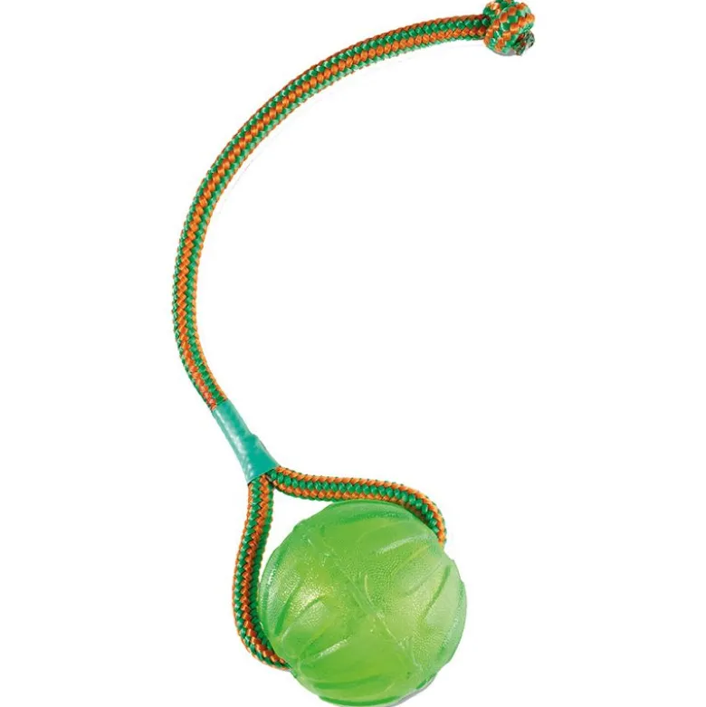 Starmark Swing n' Fling Chew Ball