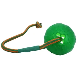 Starmark Swing n' Fling Chew Ball