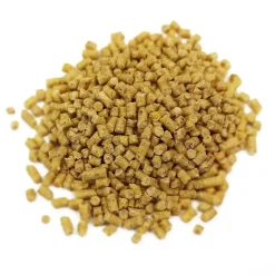 Super Benek Corn Cat Golden