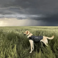 ThunderShirt® beroligende vest, grå