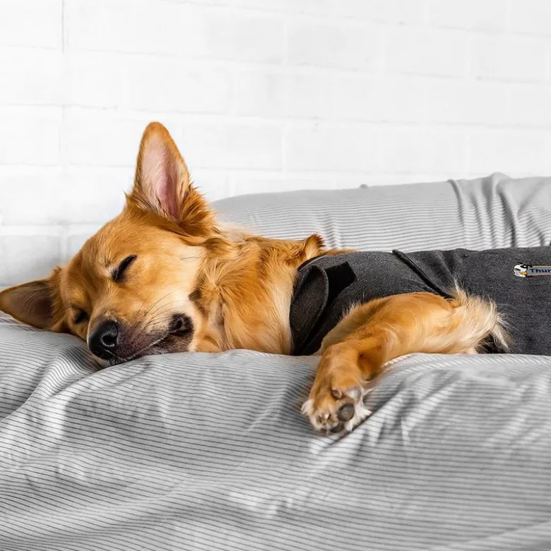 ThunderShirt® beroligende vest, grå
