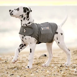 ThunderShirt® beroligende vest, grå