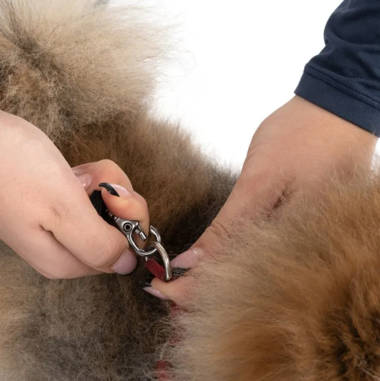 TIAKI bæretaske til hunde