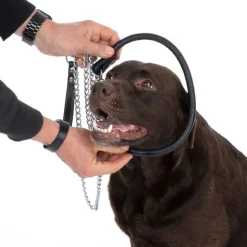 TIAKI Chain hundehalsbånd