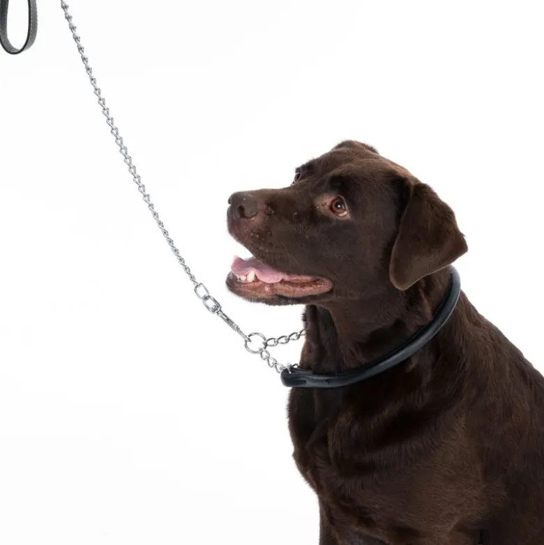 TIAKI Chain hundehalsbånd