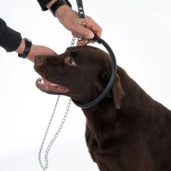 TIAKI Chain hundehalsbånd