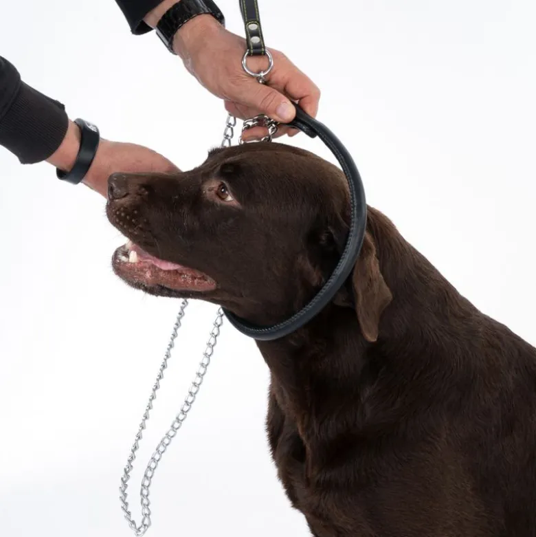 TIAKI Chain hundehalsbånd