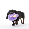 TIAKI fluffy bold hundelegetøj