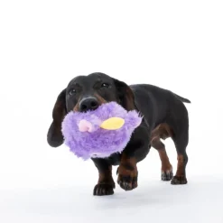 TIAKI fluffy bold hundelegetøj