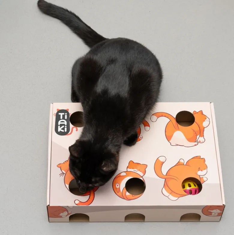 TIAKI Fun Box kattelegetøj