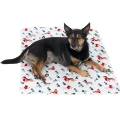 TIAKI Funny Winter Dog hyggetæppe