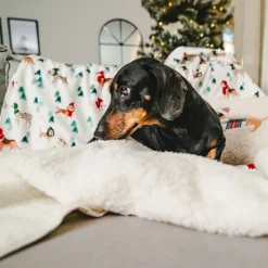 TIAKI Funny Winter Dog pude