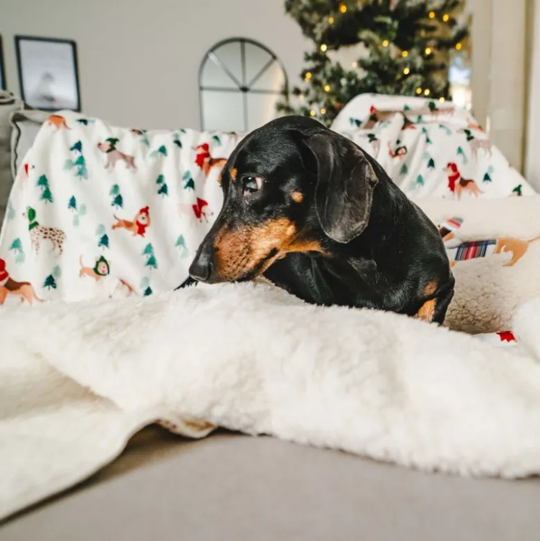 TIAKI Funny Winter Dog pude