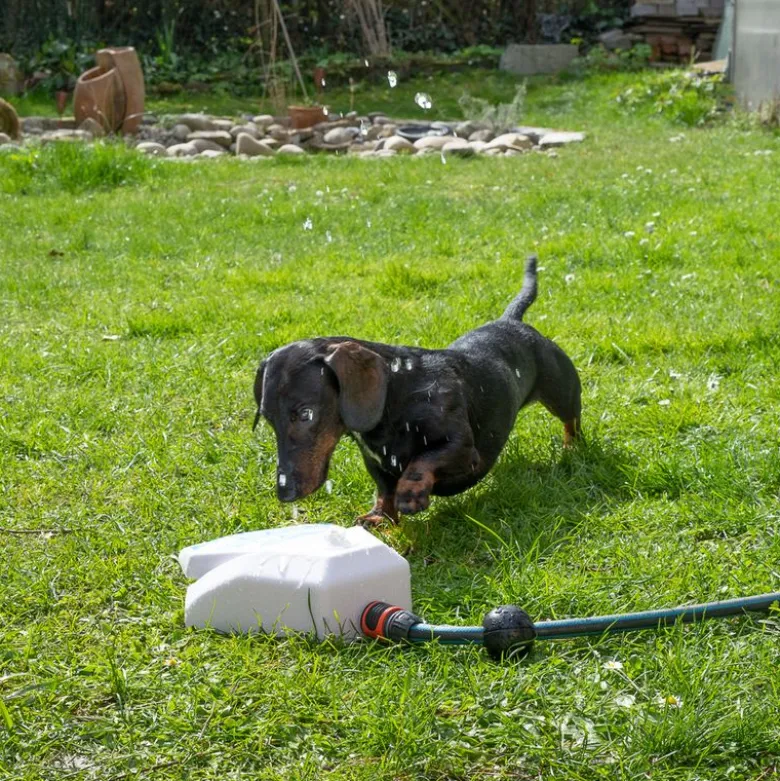 TIAKI Garden Fountain til hunde