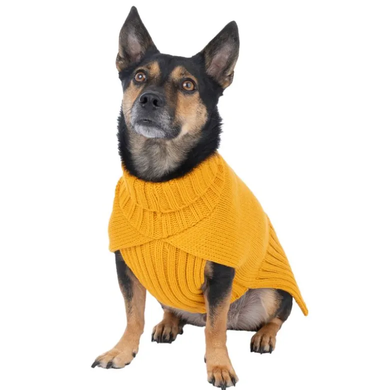 TIAKI Gold hundesweater