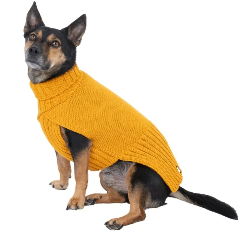 TIAKI Gold hundesweater