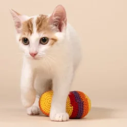 TIAKI Hacky Sacks til katte