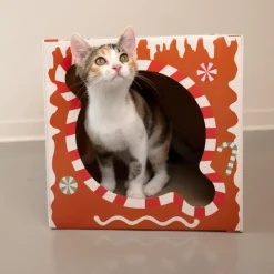 TIAKI Honningkage kradsetunnel til katte