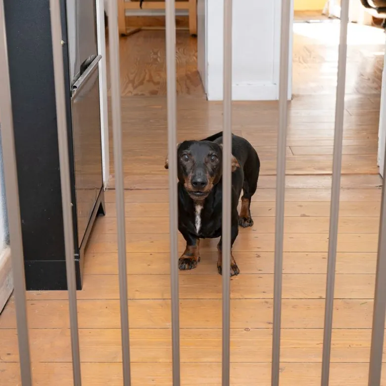 TIAKI hundegitter med sidepanel