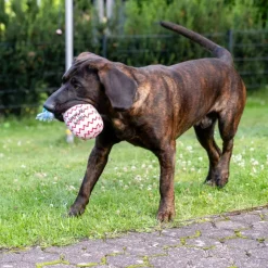 TIAKI hundelegetøj fødselsdagsballon