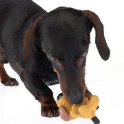 TIAKI hundelegetøj latexhund