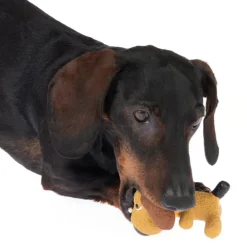 TIAKI hundelegetøj latexhund