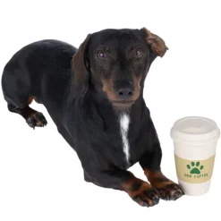 TIAKI hundelegetøj latex kaffe