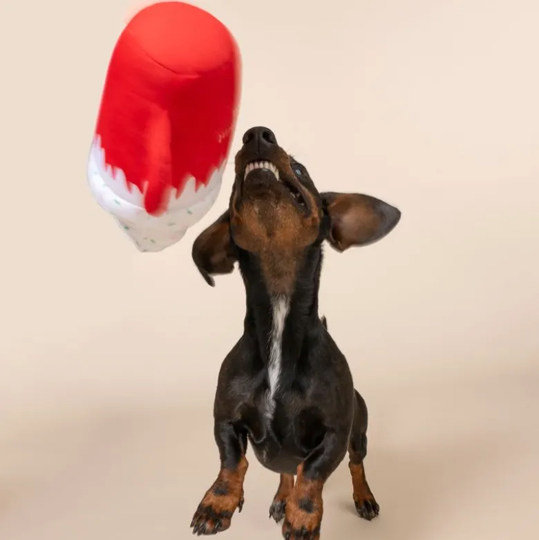 TIAKI hundelegetøj "Puppermint Mocha"