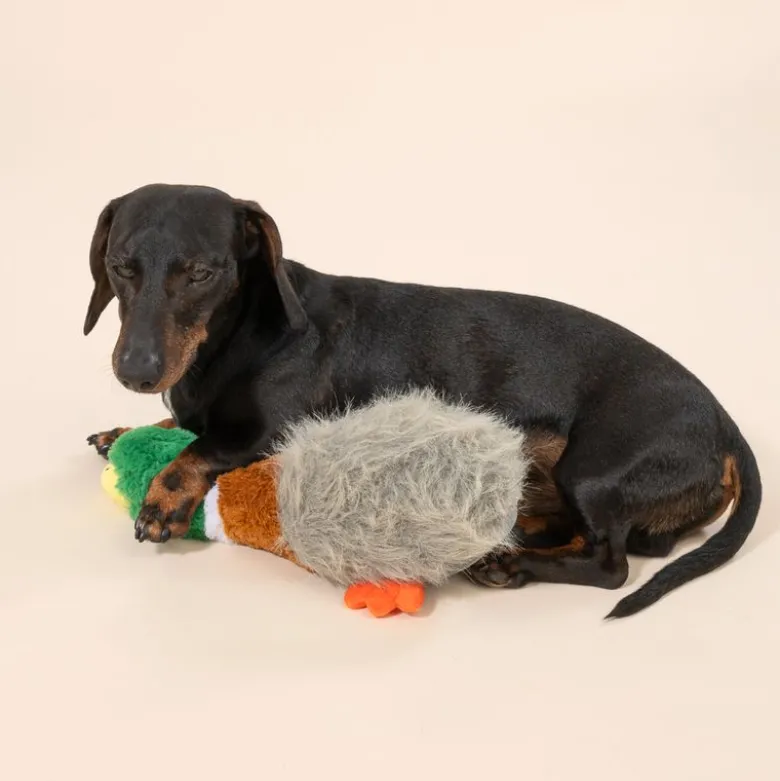 TIAKI hundelegetøjsand "Squawk"