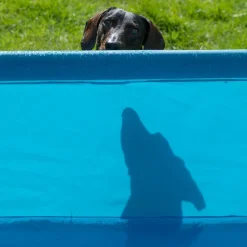 TIAKI hundepool Square