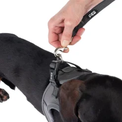 TIAKI hundesnor Mesh, Antracit
