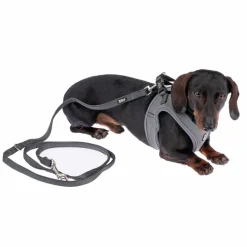 TIAKI hundesnor Mesh, Antracit