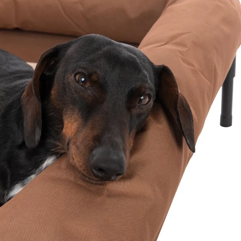 TIAKI hundesofa Sun