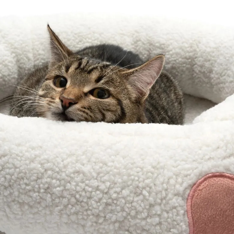 TIAKI hyggeseng Paw