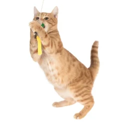TIAKI kattedrillepind guldsmed med LED-pointer